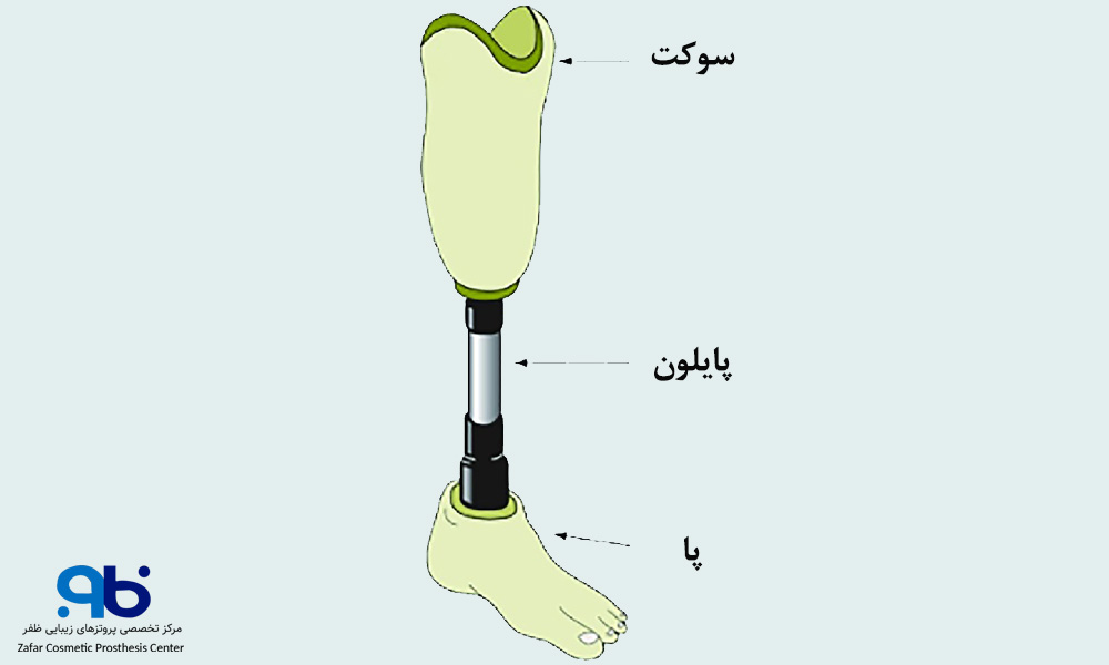 بدنه پروتز تک محوره